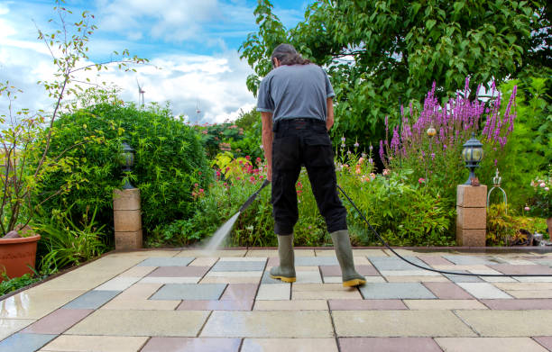  Napervle, IL Pressure Washing Pros